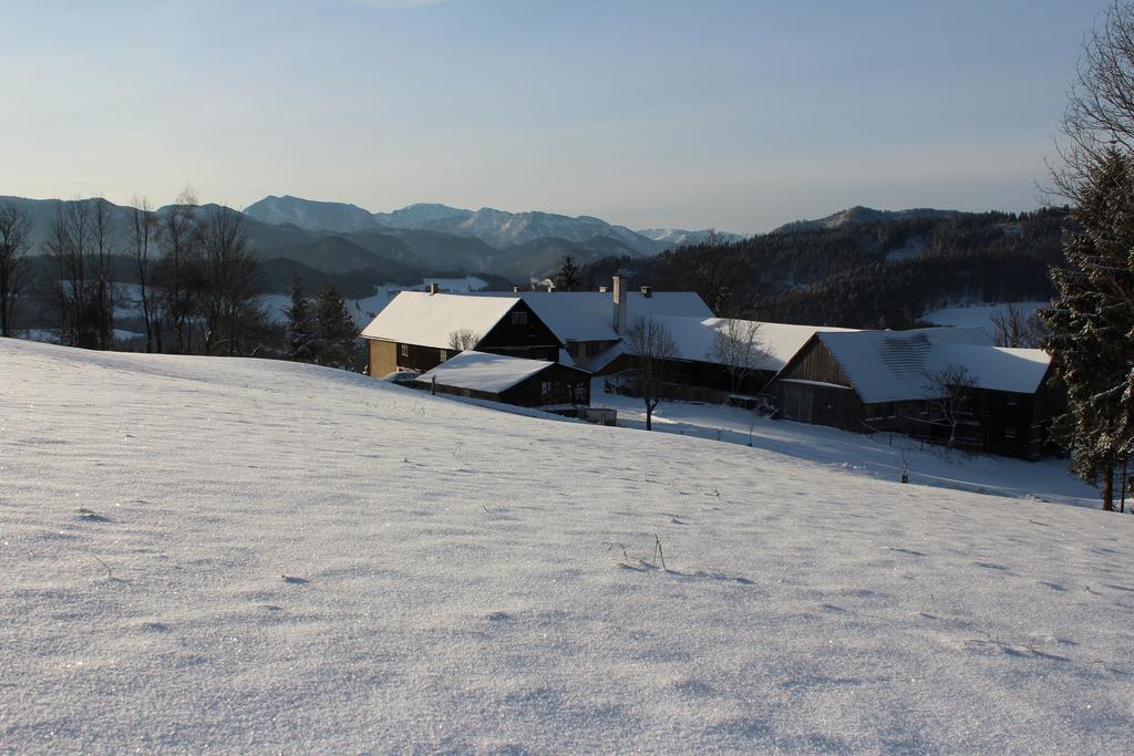 Villa Hirmhof à Reinsberg Extérieur photo