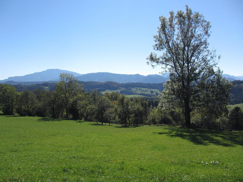 Villa Hirmhof à Reinsberg Extérieur photo